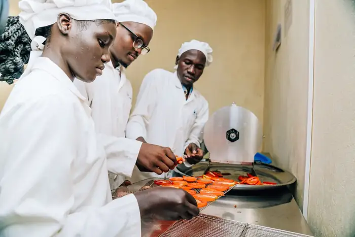 Tomavita production line in operation